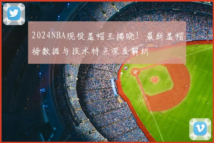 2024NBA现役盖帽王揭晓！最新盖帽榜数据与技术特点深度解析