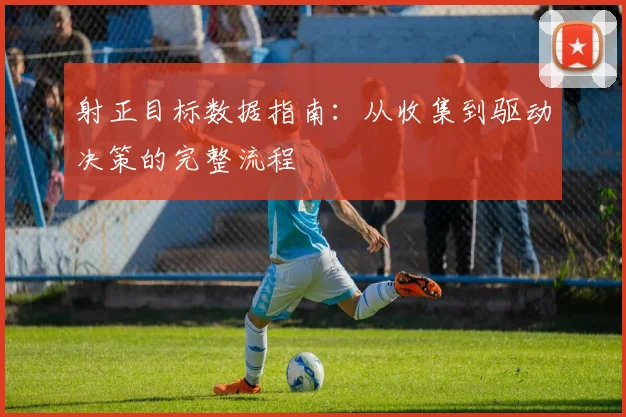 射正目标数据指南：从收集到驱动决策的完整流程