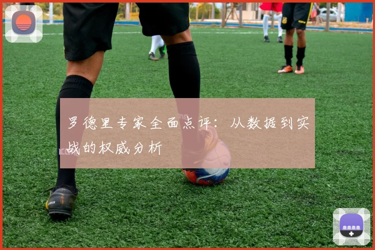罗德里专家全面点评：从数据到实战的权威分析