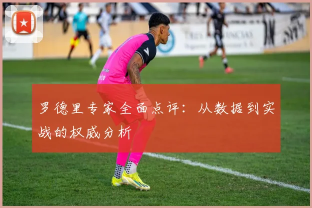 罗德里专家全面点评：从数据到实战的权威分析