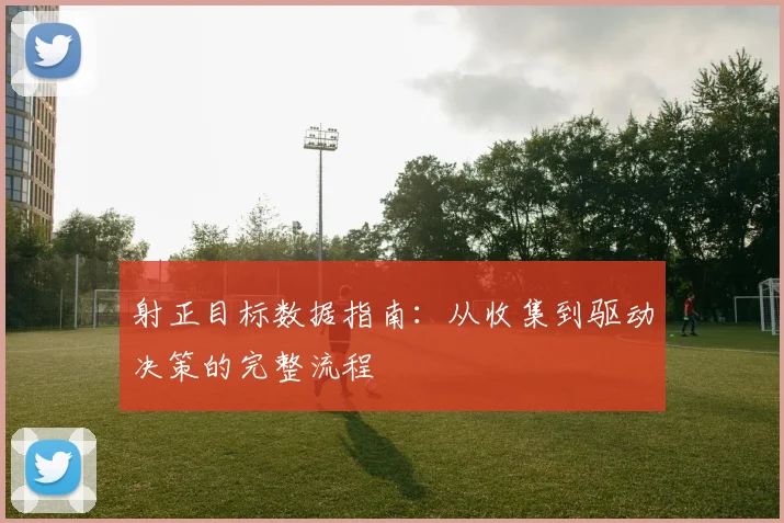 射正目标数据指南：从收集到驱动决策的完整流程