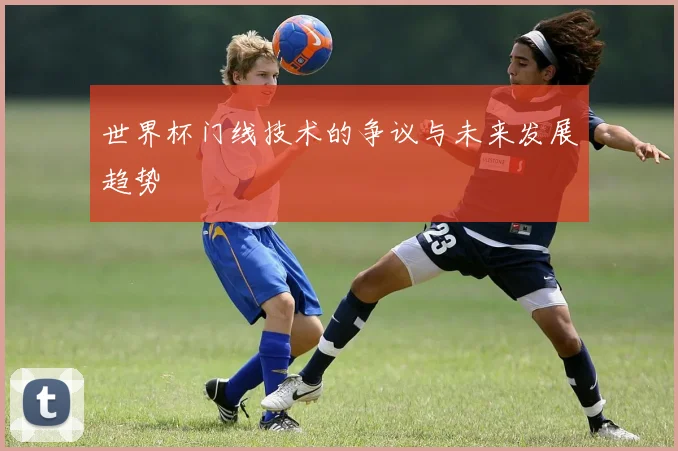世界杯门线技术的争议与未来发展趋势