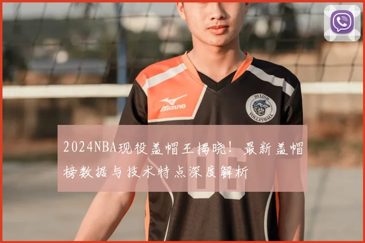2024NBA现役盖帽王揭晓！最新盖帽榜数据与技术特点深度解析